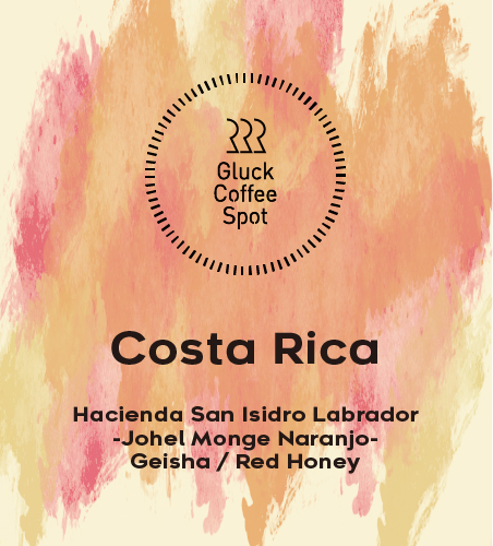【SPECIAL】COSTA RICA Hacienda San Isidro Labrador Geisha