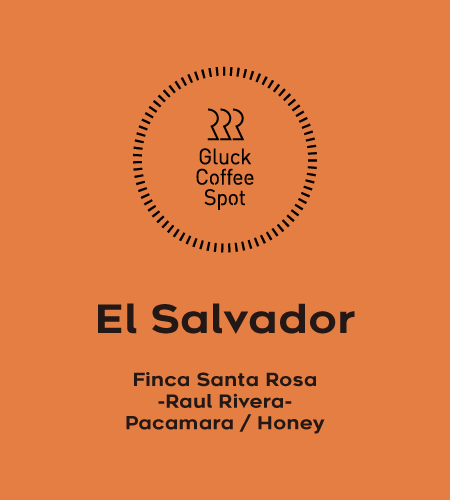 EL SALVADOR Finca Santa Rosa Honey