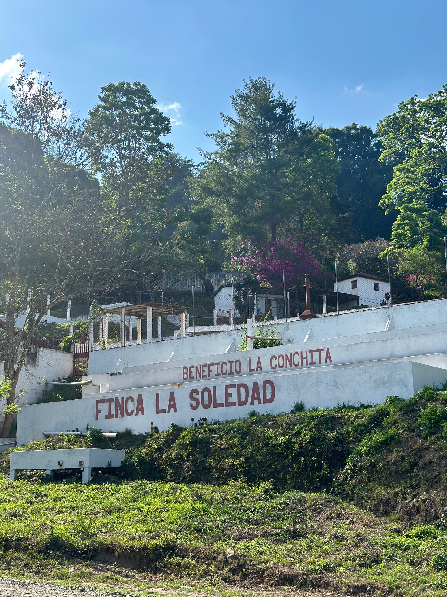 【NEW】GUATEMALA Finca La Soledad