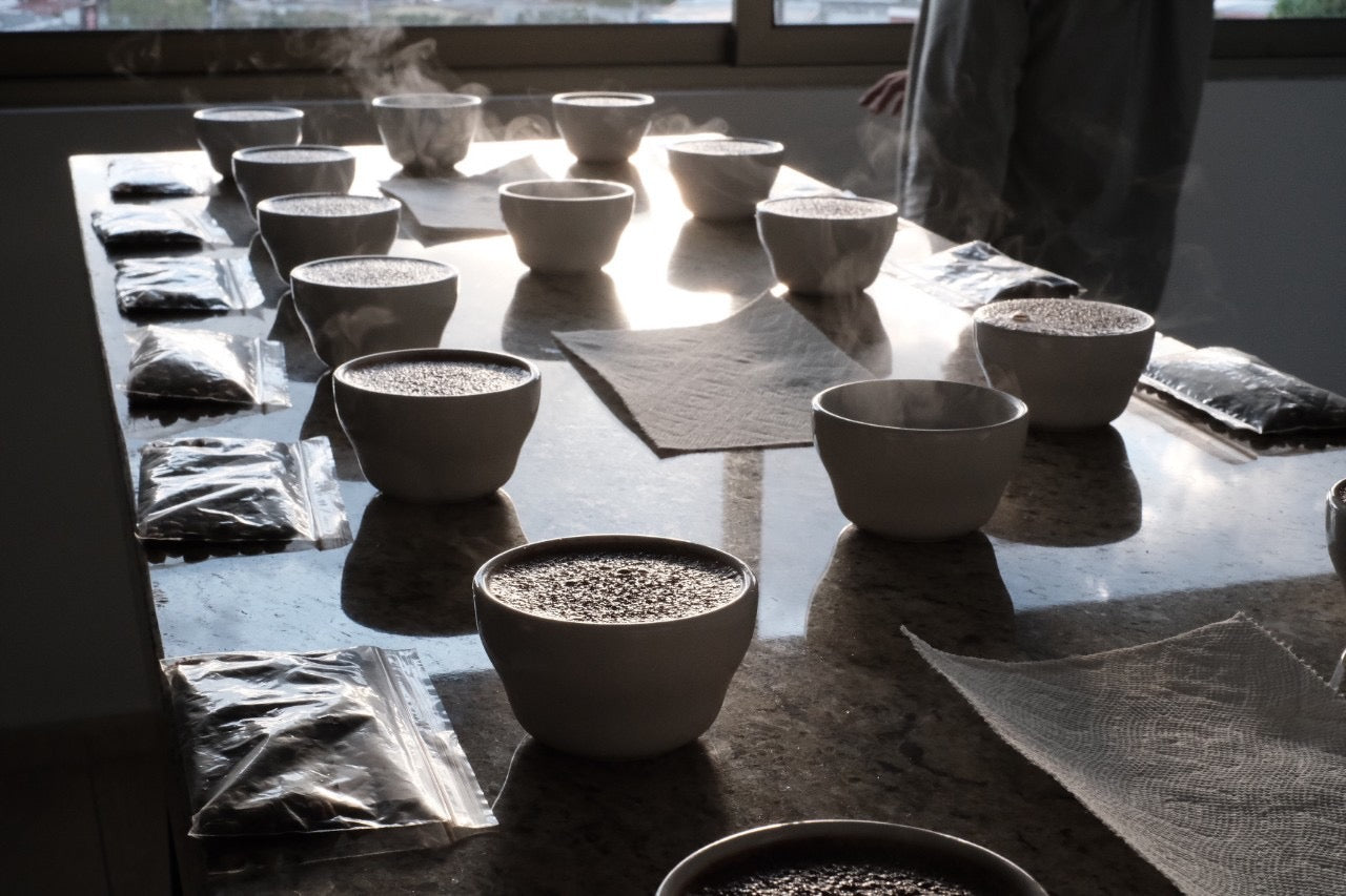 【EXCLUSIVE】El Salvador Finca Santa Rosa P61