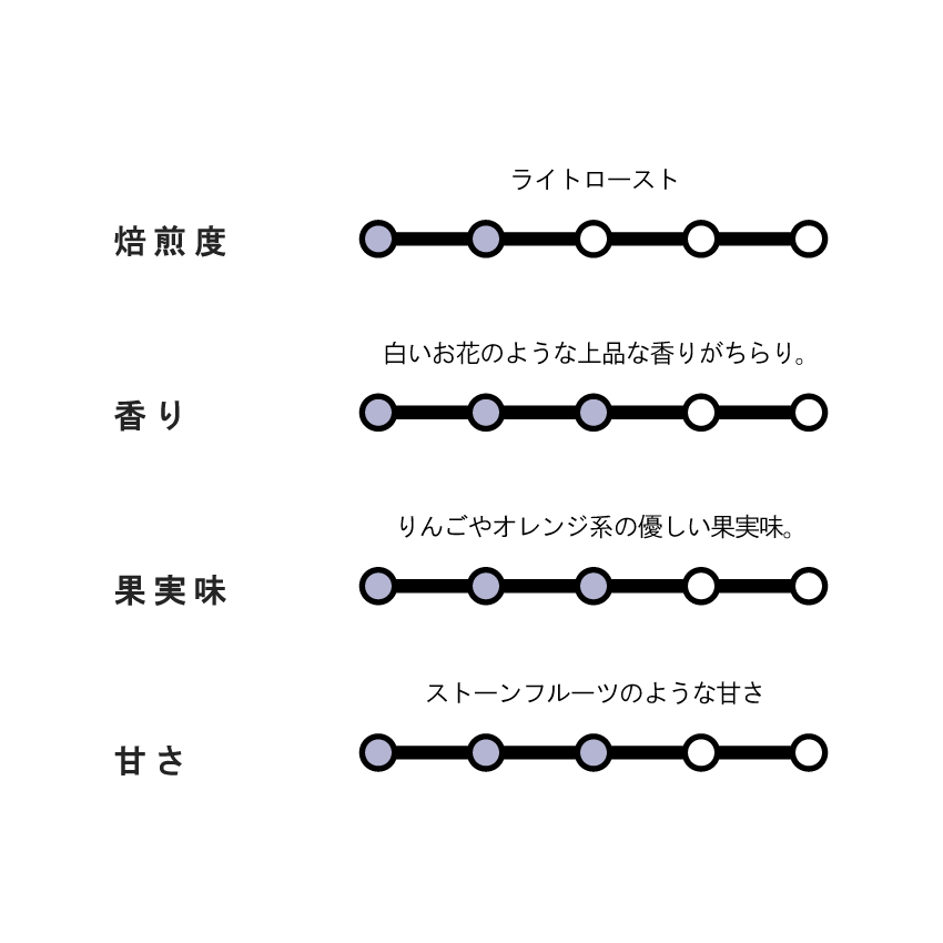 【NEW】Peru Quiquira