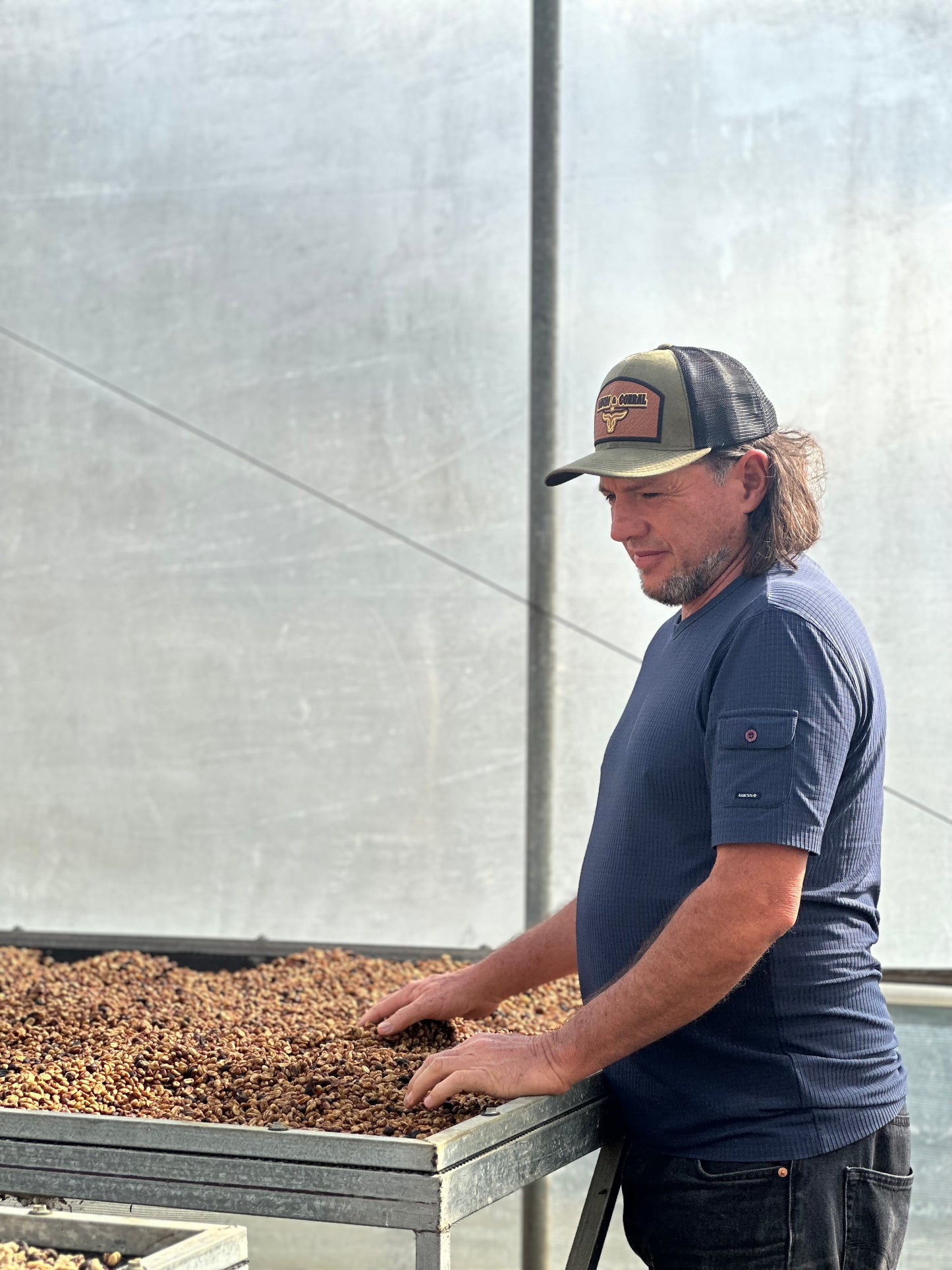 【NEW】COSTA RICA Santa Teresa 2000