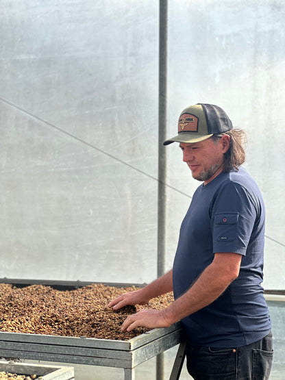 【NEW】COSTA RICA Santa Teresa 2000