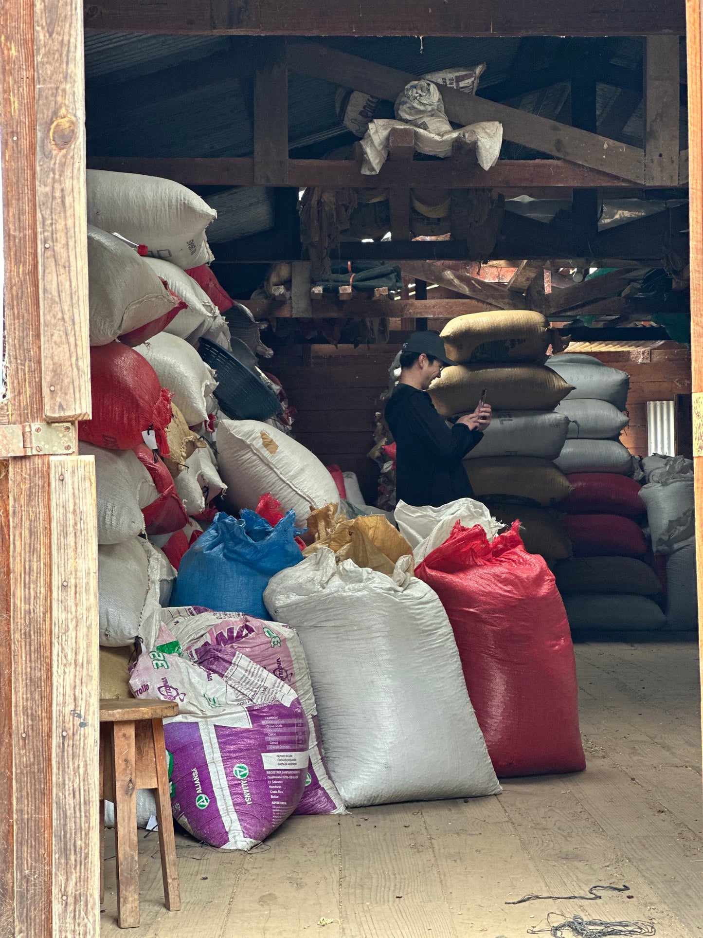 【SPECIAL】GUATEMALA Finca La Bella Geisha