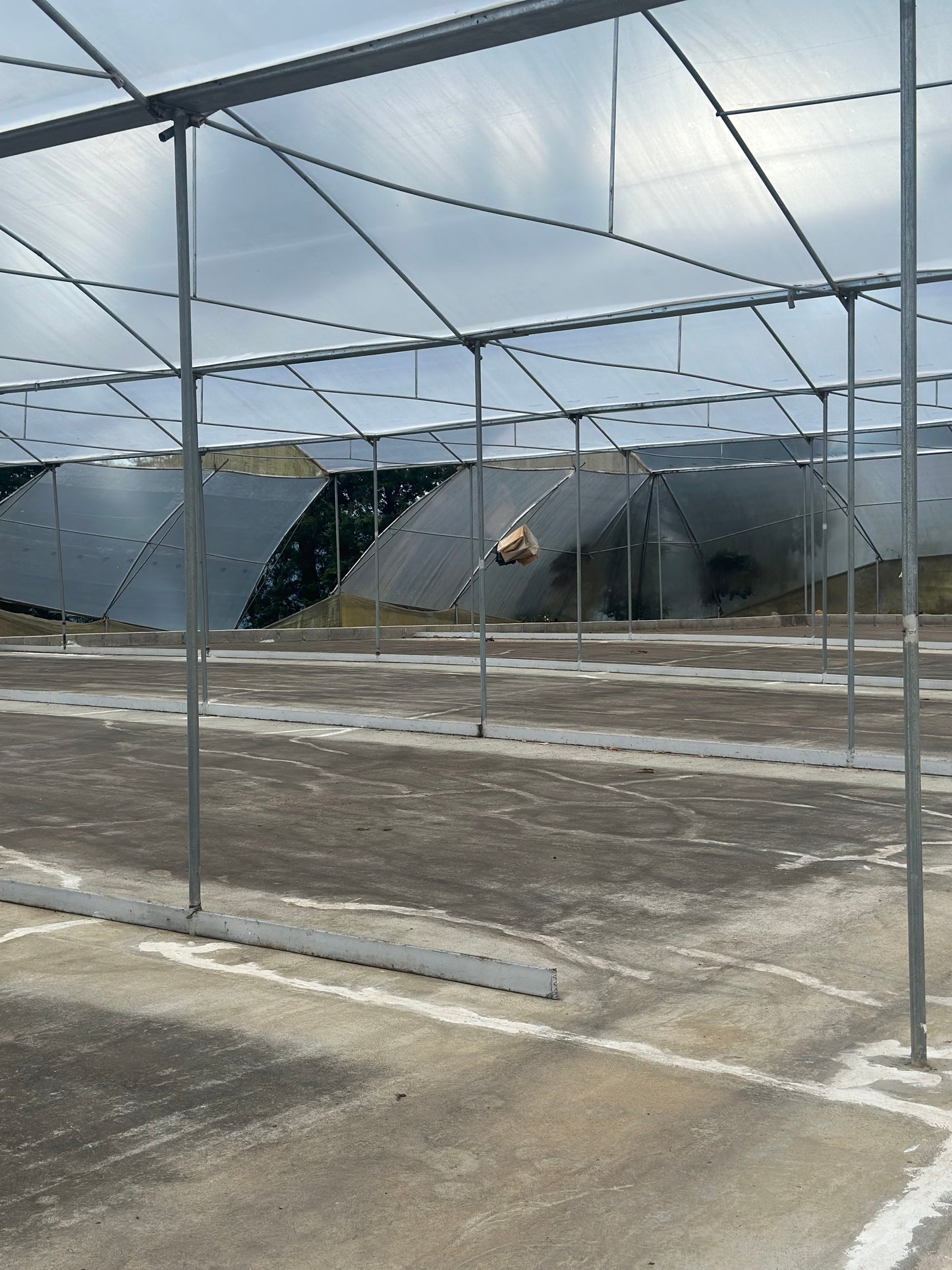 【NEW】COSTA RICA Santa Teresa 2000