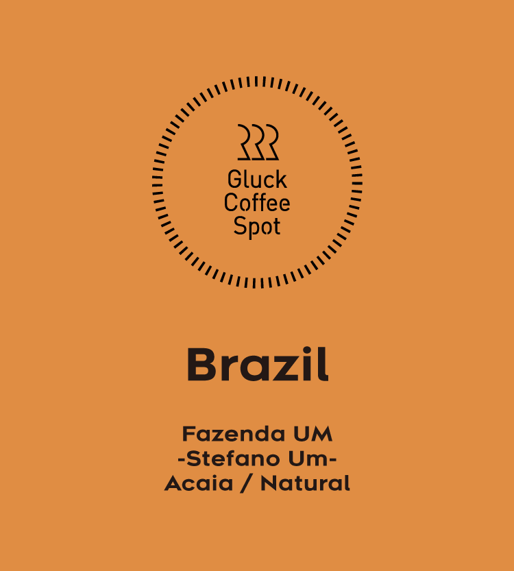 BRAZIL Fazenda UM