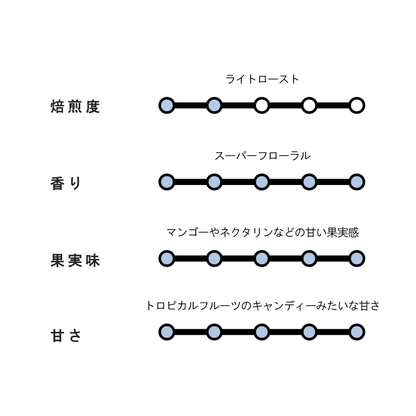 【SPECIAL】COLOMBIA Finca La Esmeralda Geisha