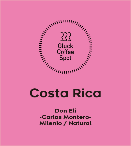 【NEW】COSTA RICA Don Eli