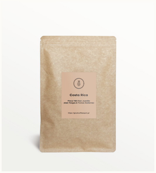 【NEW】COSTA RICA Finca V&G San Juanillo