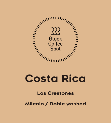 【NEW】COSTA RICA Los Crestones