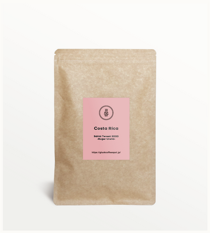 【NEW】COSTA RICA Santa Teresa 2000