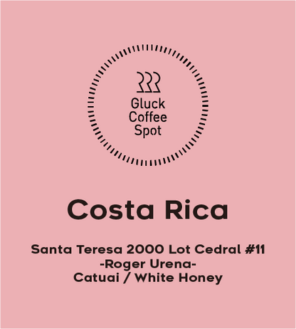【NEW】COSTA RICA Santa Teresa 2000