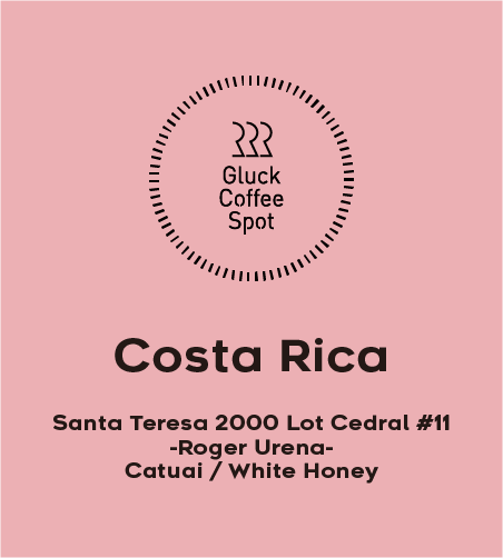 【NEW】COSTA RICA Santa Teresa 2000