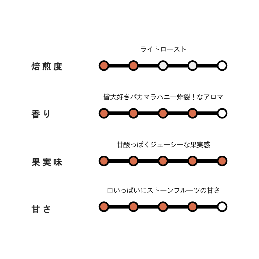 【EXCLUSIVE】El Salvador Finca Santa Rosa P39