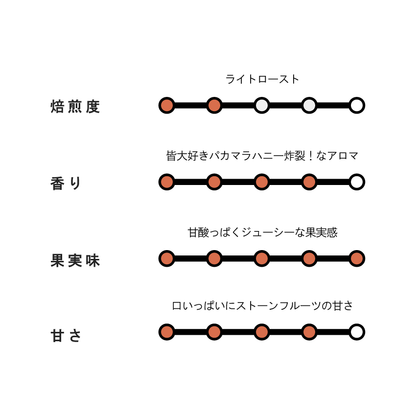 【EXCLUSIVE】El Salvador Finca Santa Rosa P39