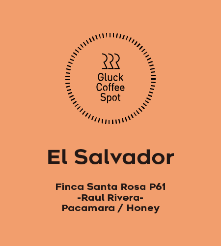 【NEW】El Salvador Finca Santa Rosa P61