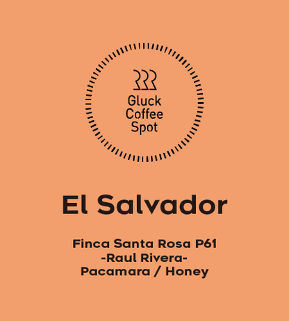 【EXCLUSIVE】El Salvador Finca Santa Rosa P61