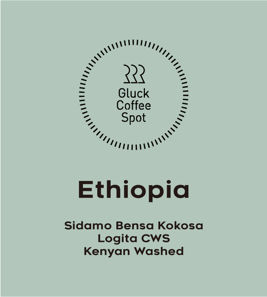 ETHIOPIA Sidamo Bensa Kokosa