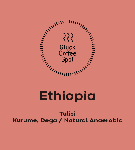 【NEW】 ETHIOPIA Tulisi