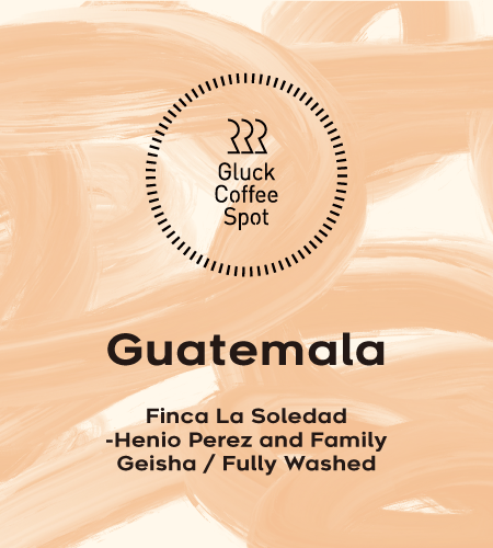 【NEW】GUATEMALA Finca La Soledad