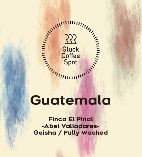 【NEW】GUATEMALA Finca El Pinal
