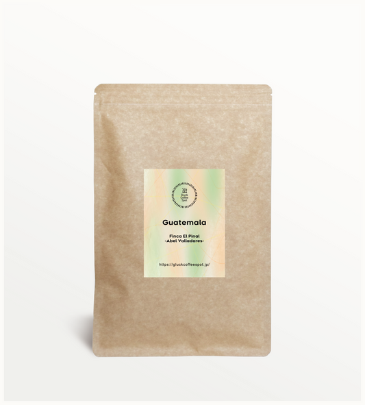 【SPECIAL】GUATEMALA Finca El Pinal