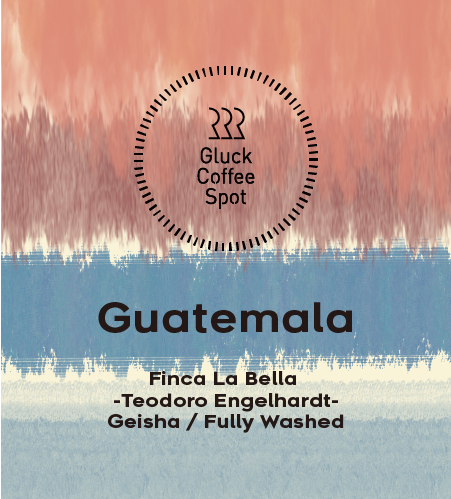 【SPECIAL】Guatemala Finca La Bella Geisha