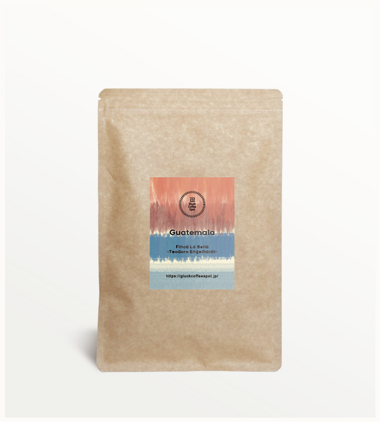 【SPECIAL】GUATEMALA Finca La Bella Geisha