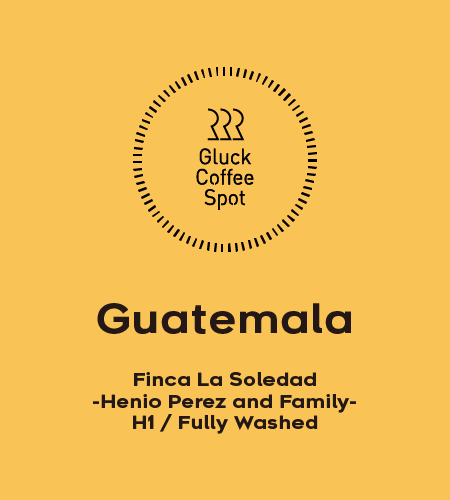 【NEW】GUATEMALA Finca La Soledad