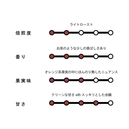 【NEW】HONDURAS Finca Las Flores
