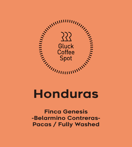 HONDURAS Finca Genesis