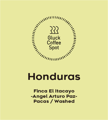 【NEW】HONDURAS Finca El Itacayo