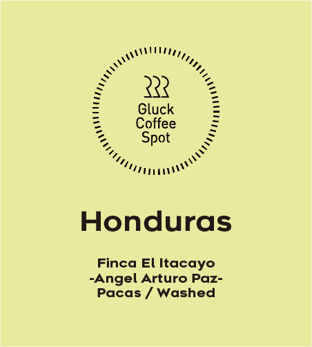 【NEW】HONDURAS Finca El Itacayo
