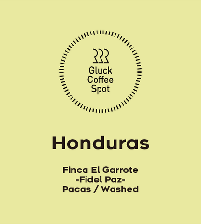 【NEW】HONDURAS Finca El Garrote