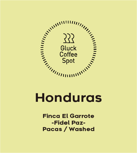 【NEW】HONDURAS Finca El Garrote