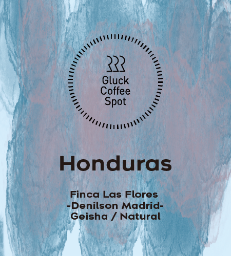 【SPECIAL】HONDURAS Finca Las Flores Geisha