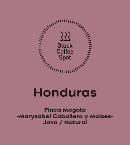 【NEW】Honduras Finca Mogola