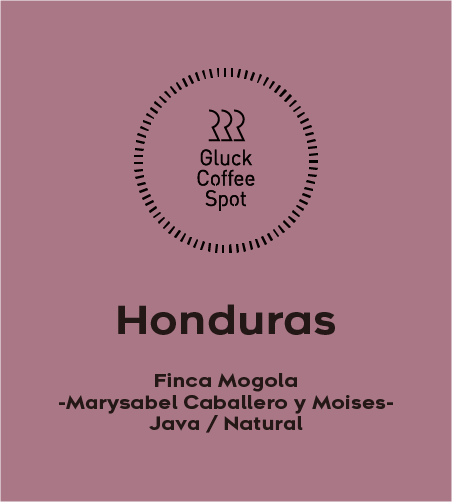 【NEW】Honduras Finca Mogola