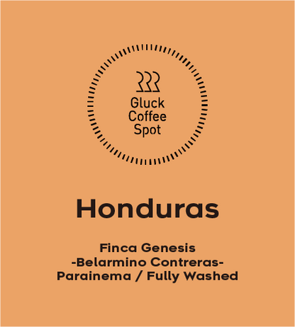 【NEW】HONDURAS Finca Genesis