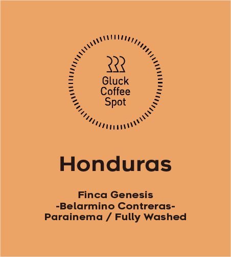 【NEW】HONDURAS Finca Genesis
