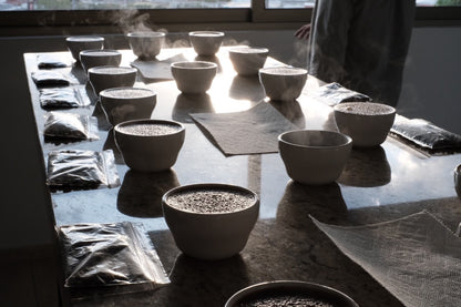 【EXCLUSIVE】El Salvador Finca Santa Rosa P61