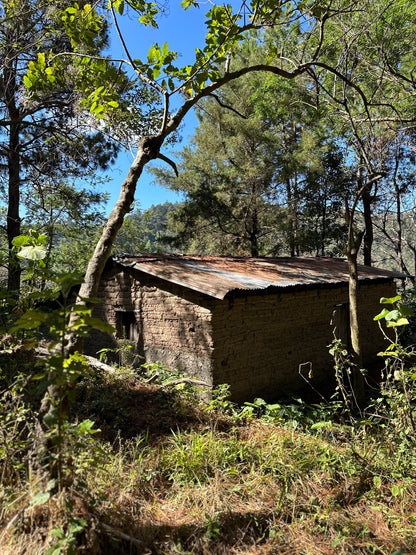 【EXCLUSIVE】El Salvador Finca Santa Rosa P61