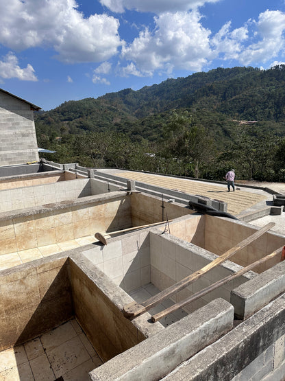 【SPECIAL】GUATEMALA Finca El Pinal Geisha