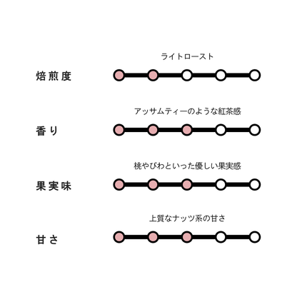 【NEW】COSTA RICA Santa Teresa 2000