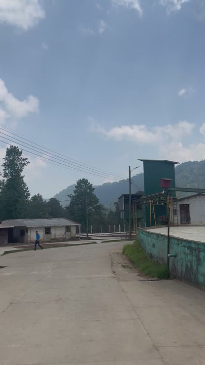 【NEW】Honduras Finca Mogola