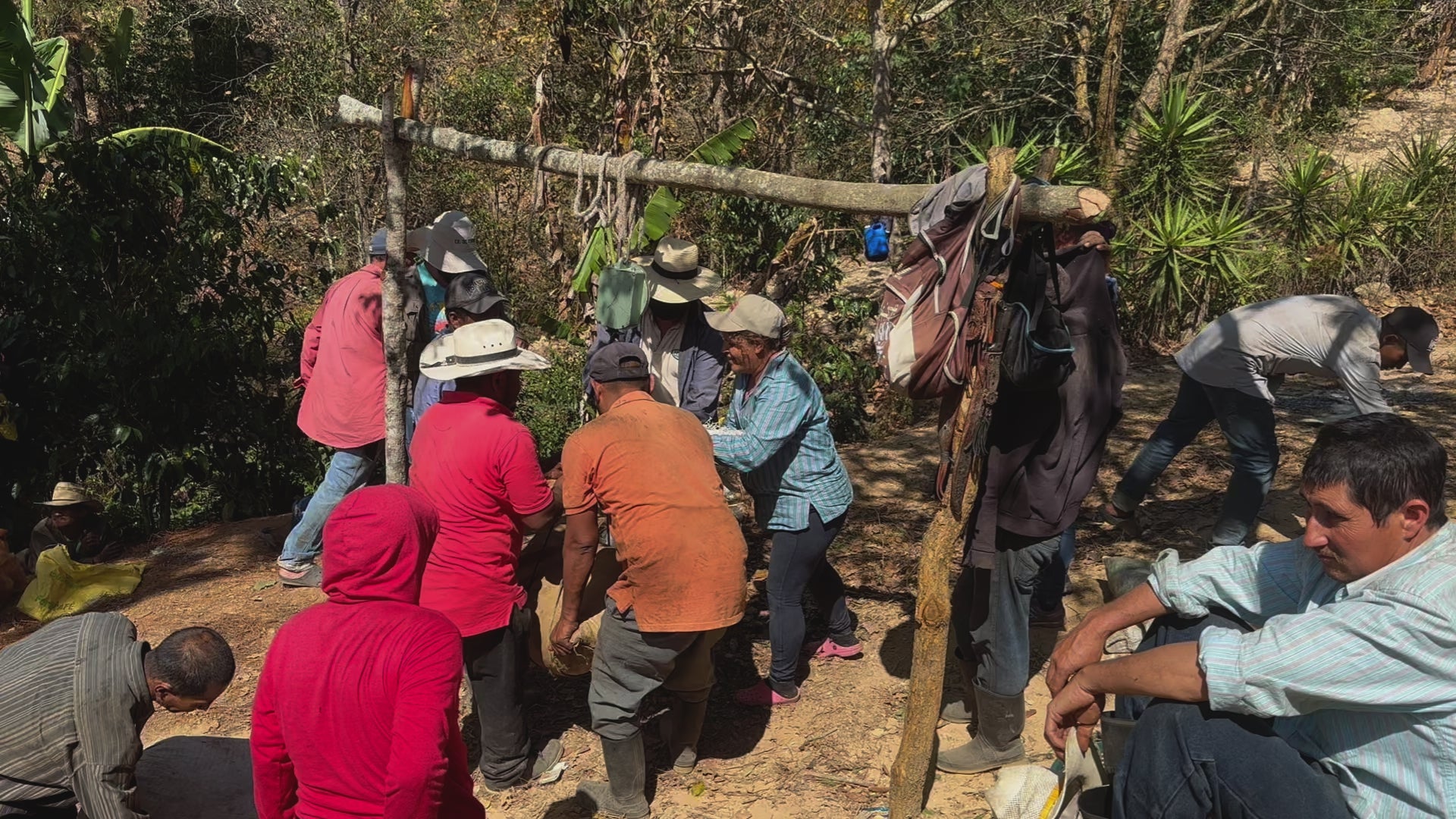 SPECIAL】GUATEMALA Finca El Pinal Geisha – Gluck Coffee Spot